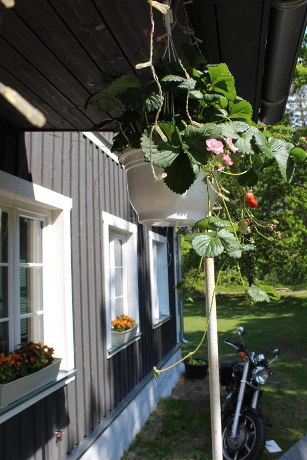 Campingplads Uki Puhkekuela Pärnu